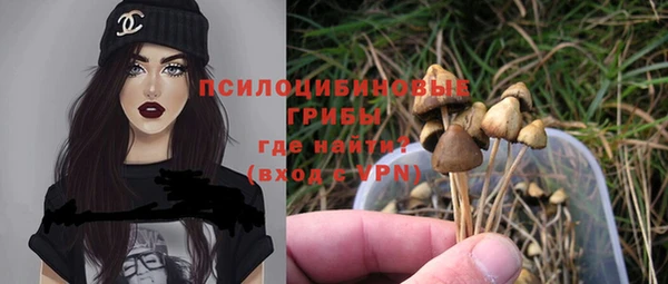 прущие грибы Армянск
