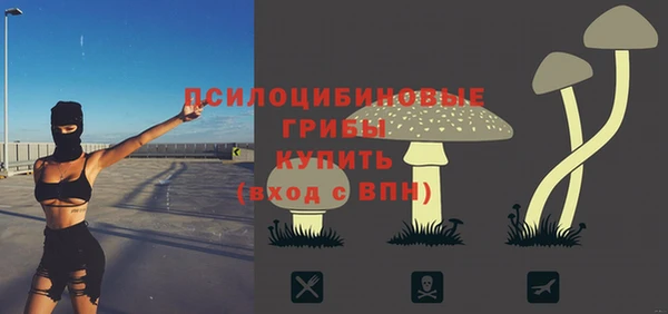 сатива Арсеньев