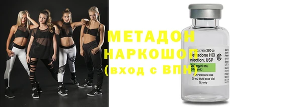 прущие грибы Армянск