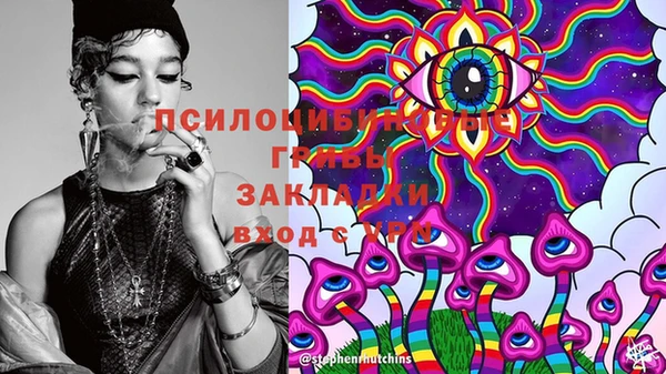 сатива Арсеньев