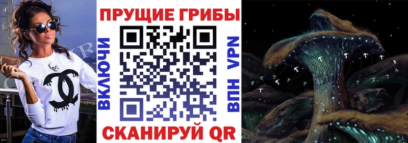 Псилоцибиновые грибы Psilocybine cubensis  KRAKEN ссылка  Томилино 
